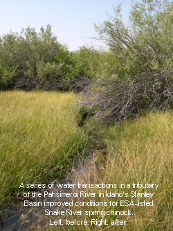 series of water transactions in a tributary, improved conditions. Before.